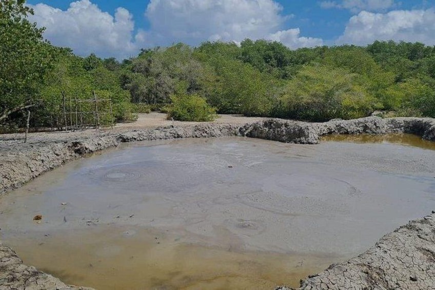 A natural wetland with muddy water, surrounded by dense green vegetation. 2