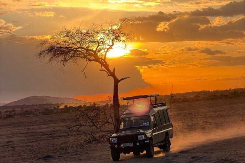 3 days 2 nights budget safari to Maasai Mara National Reserve 2
