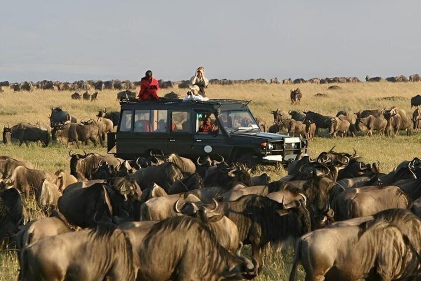3 days 2 nights budget safari to Maasai Mara National Reserve 5