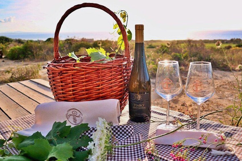 Castelsardo Shared Picnic with Sea View 1