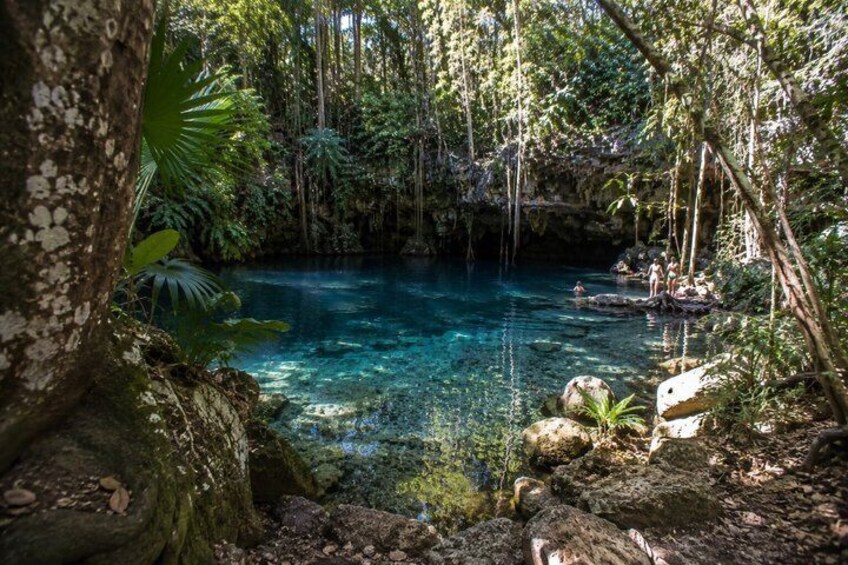 Cozumel Private Jungle Horseback Ride with Cenote & Cave 4