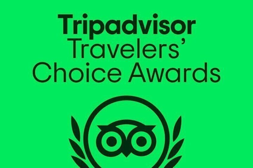Tripadvisors Traveler's Choice Awards Winner 2025 2