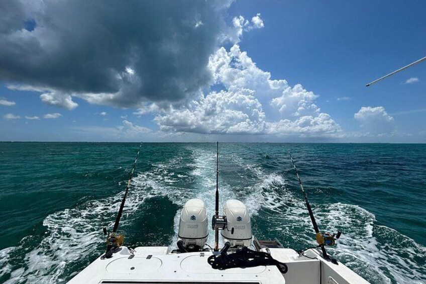 Build Your Private Charter: Reef Fishing, Snorkel, Stingrays 2
