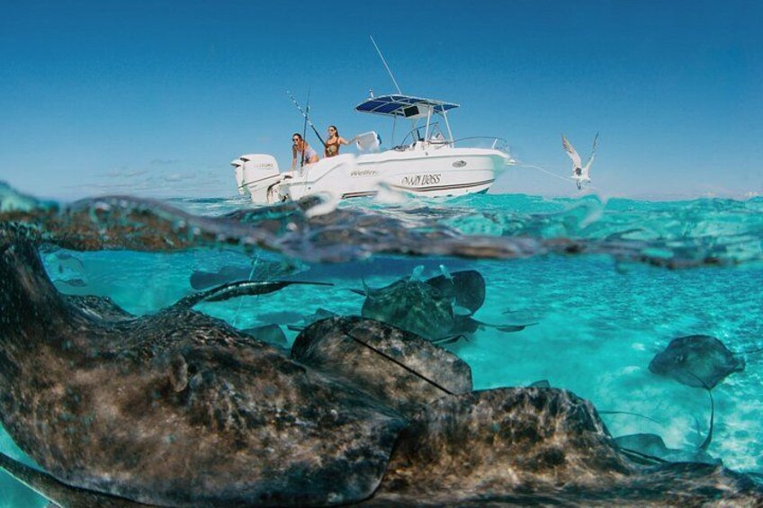 Build Your Private Charter: Reef Fishing, Snorkel, Stingrays 1