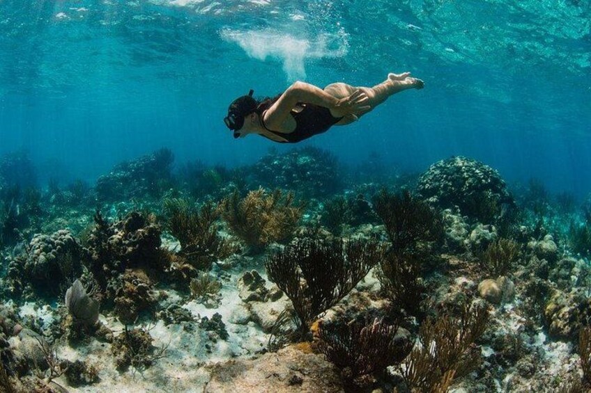 Build Your Private Charter: Reef Fishing, Snorkel, Stingrays 2