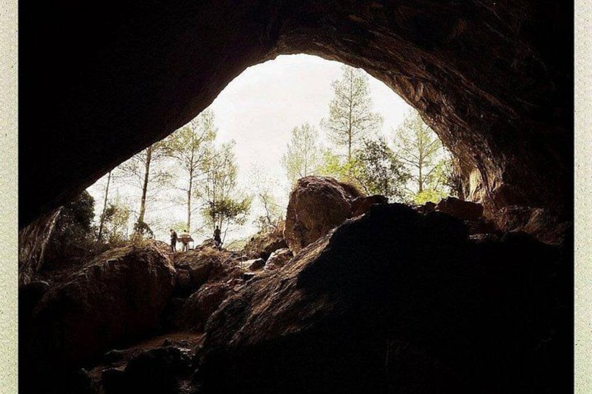 A cave entrance with a view of trees and rocks outside. 2