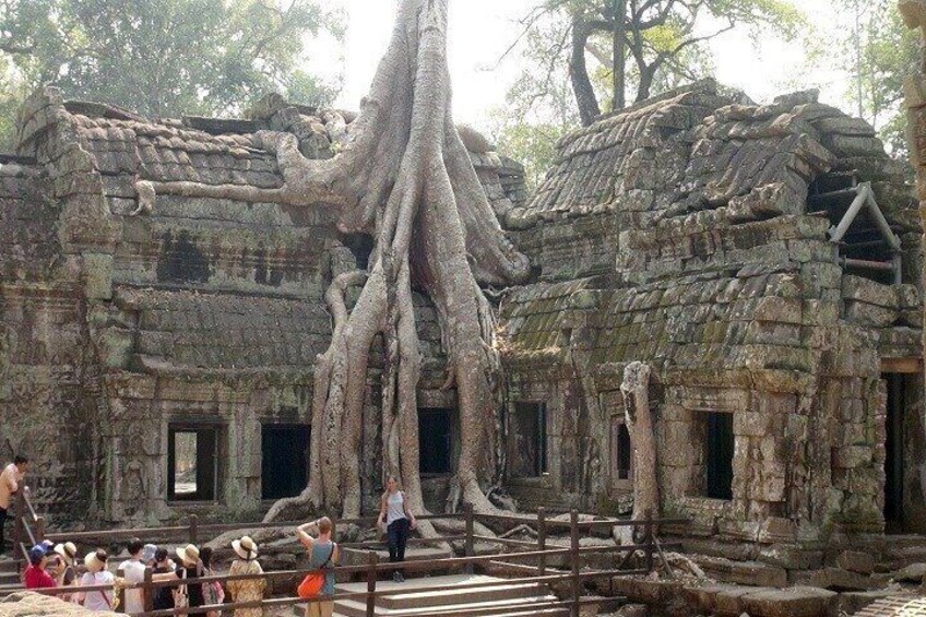 Angkor Wat Day Tour with Tuk Tuk 5