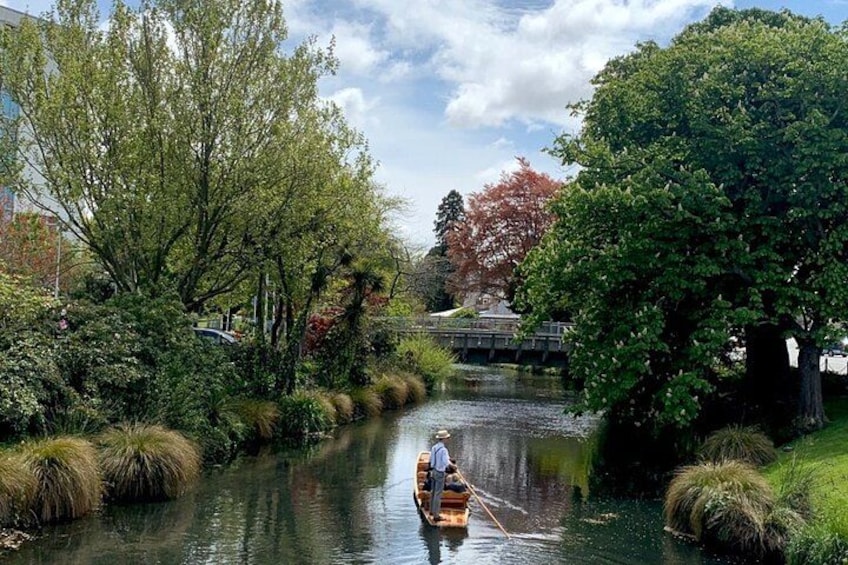 Private Christchurch City Highlight Half Day Tour 1