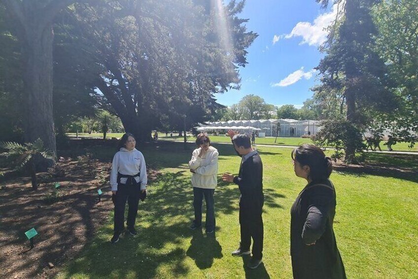 A group of people standing in a park with trees and grass. 4