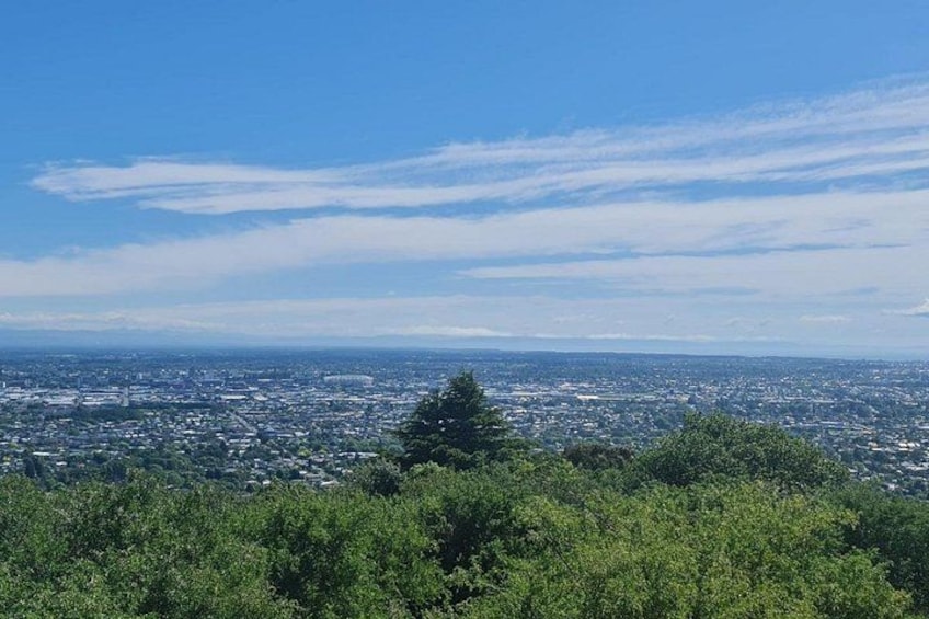 Paesaggio urbano con cielo sereno, area densamente popolata e alberi verdi in primo piano. 3