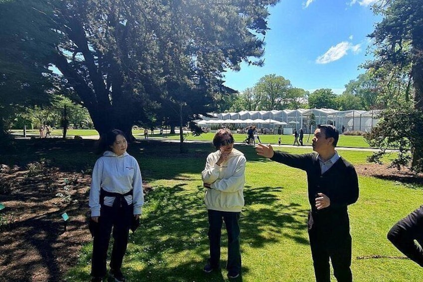 Private Christchurch City Highlight Half Day Tour 3