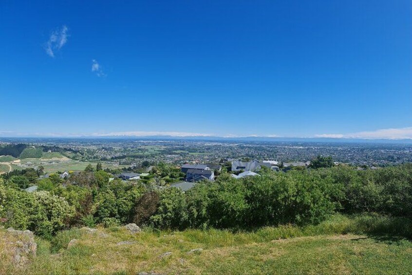 Private Christchurch City Highlight Half Day Tour 5