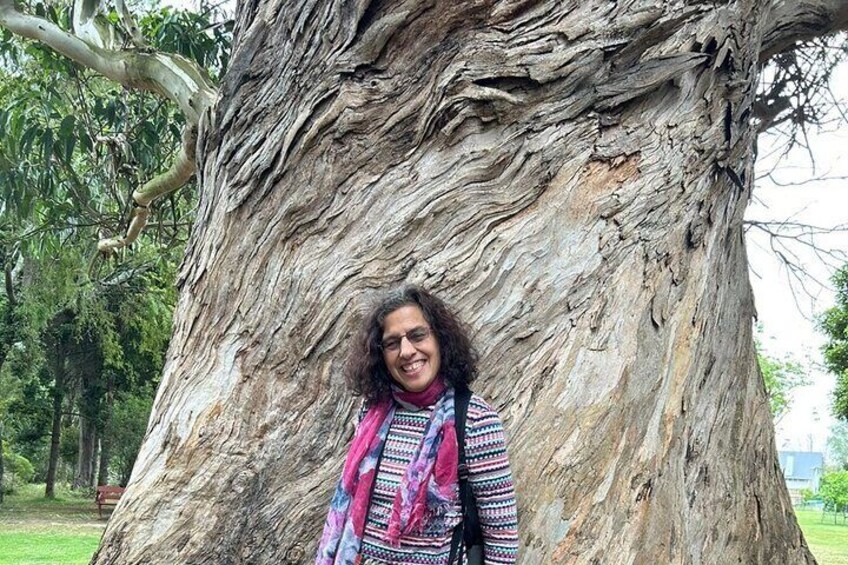 A person standing in front of a large tree with textured bark. 3