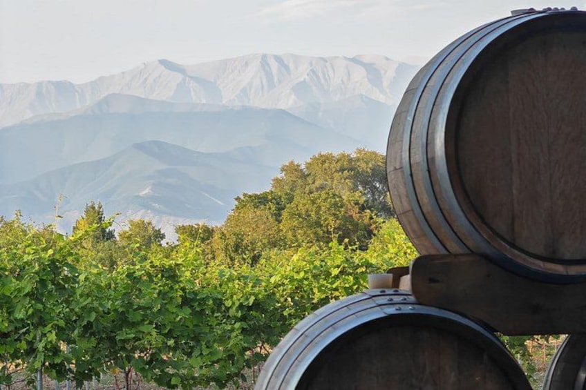 Des barriques de vin, un vignoble et un paysage montagneux. 3