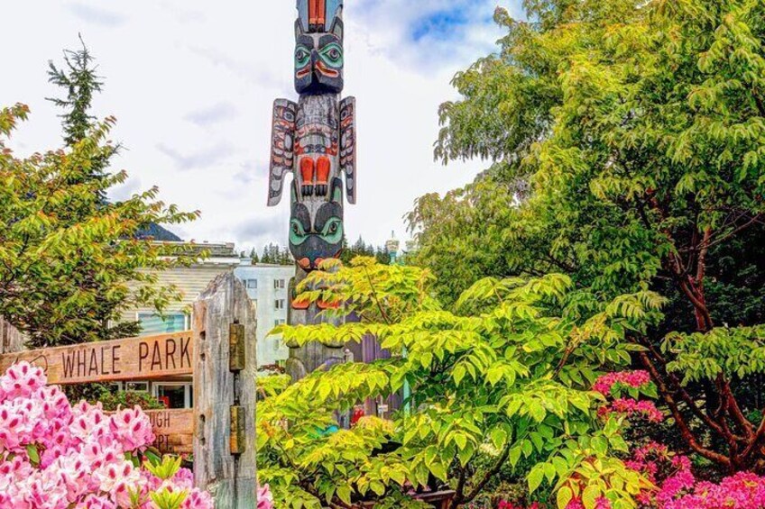 Alaska Wildlife Safari and Sightseeing Tour 2