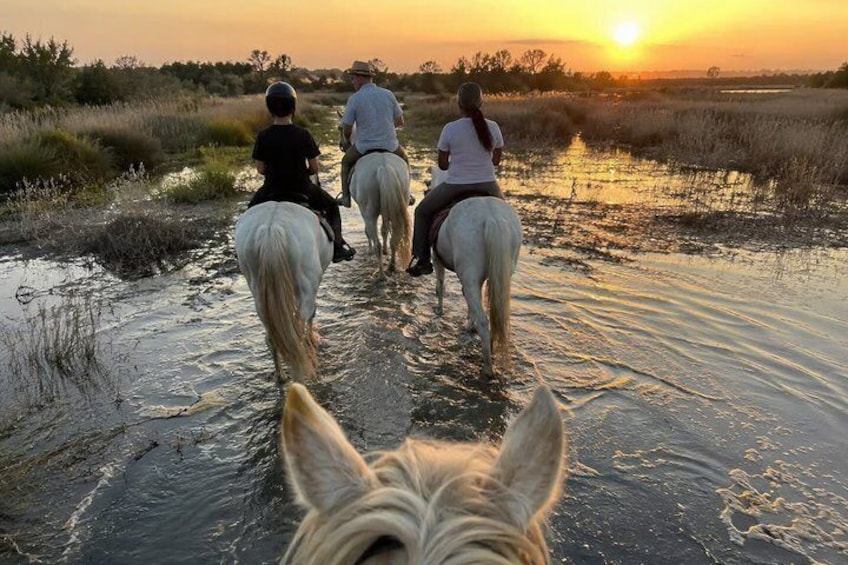 Romantic Sunset Nature Ride on Horseback in the Camargue 1