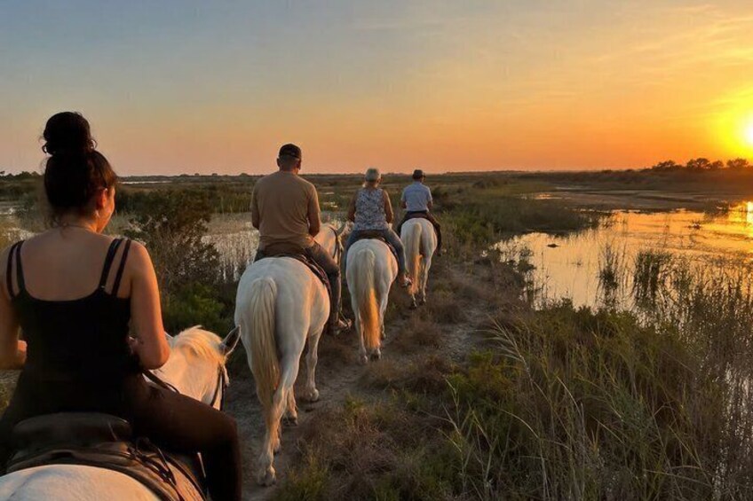 Romantic Sunset Nature Ride on Horseback in the Camargue 4