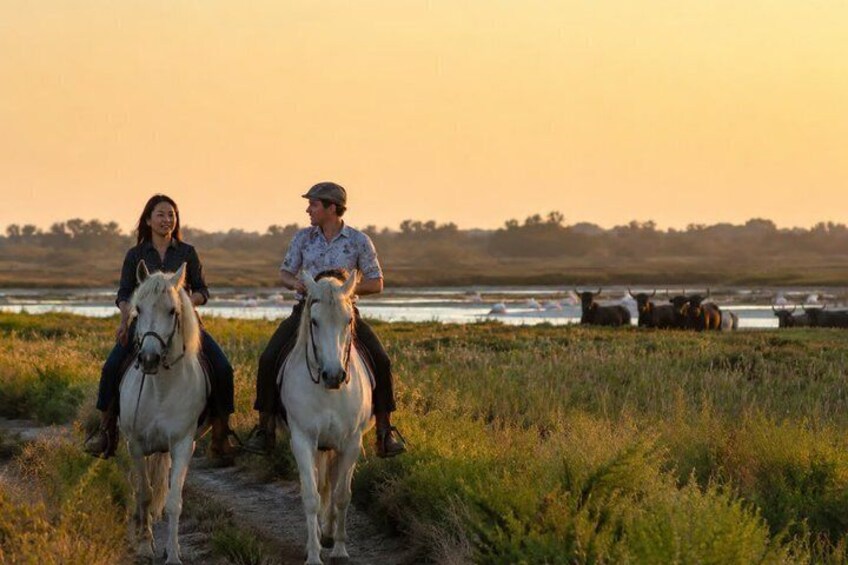 Romantic Sunset Nature Ride on Horseback in the Camargue 5