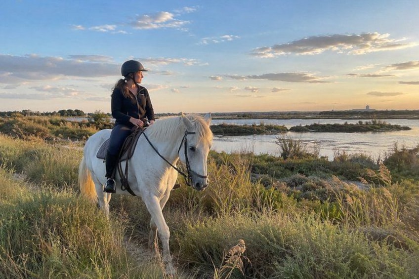 En person som rider på en vit häst på en gräsklädd åker, med en vattenyta och en avlägsen kustlinje i bakgrunden. 4
