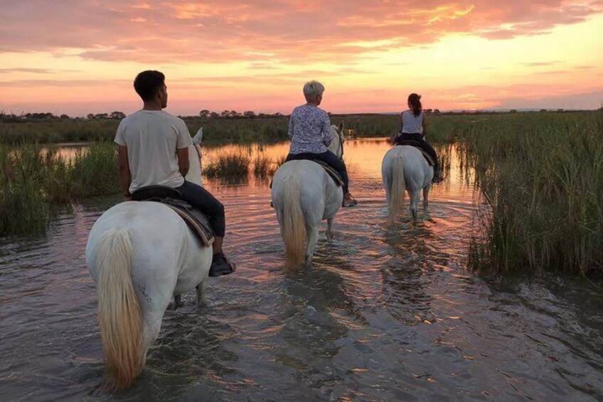 Romantic Sunset Nature Ride on Horseback in the Camargue 2