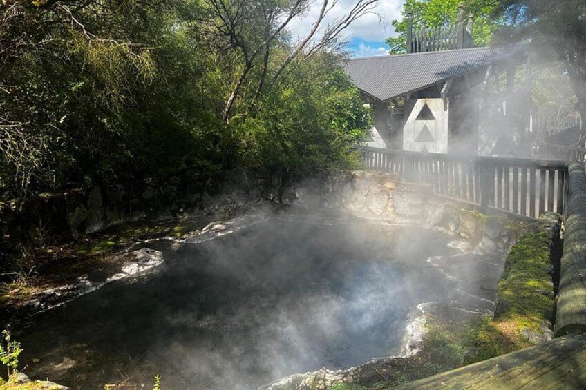 Rotorua Highlights Tour 4