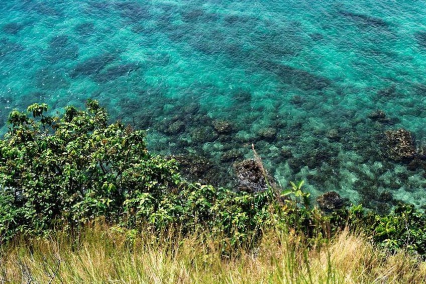 A coastal landscape with clear turquoise water, dense green vegetation, and rocky outcrops. 3