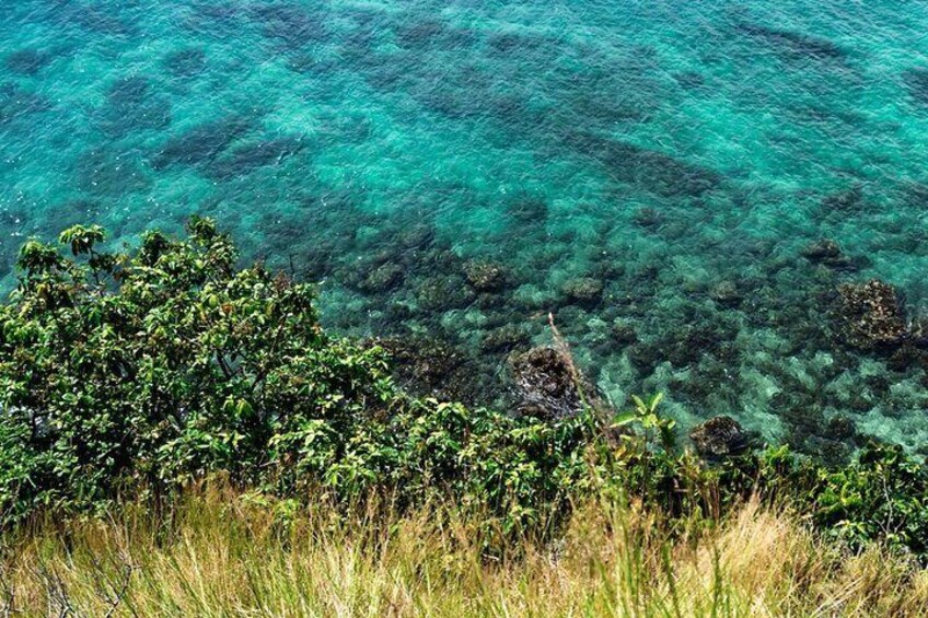 Paisaje costero con agua turquesa cristalina, vegetación verde exuberante y afloramientos rocosos. 3