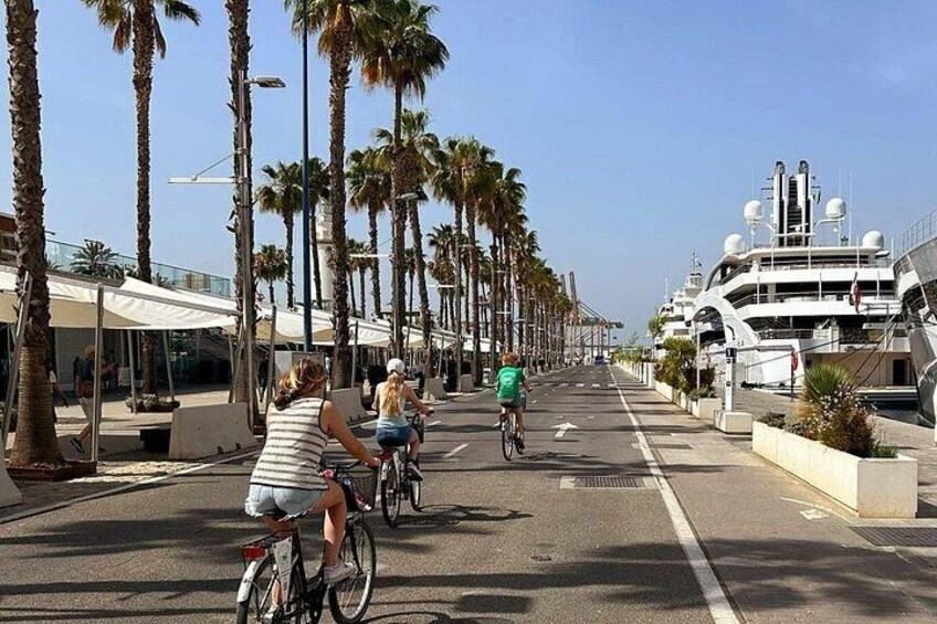 A coastal road lined with palm trees and yachts. 5