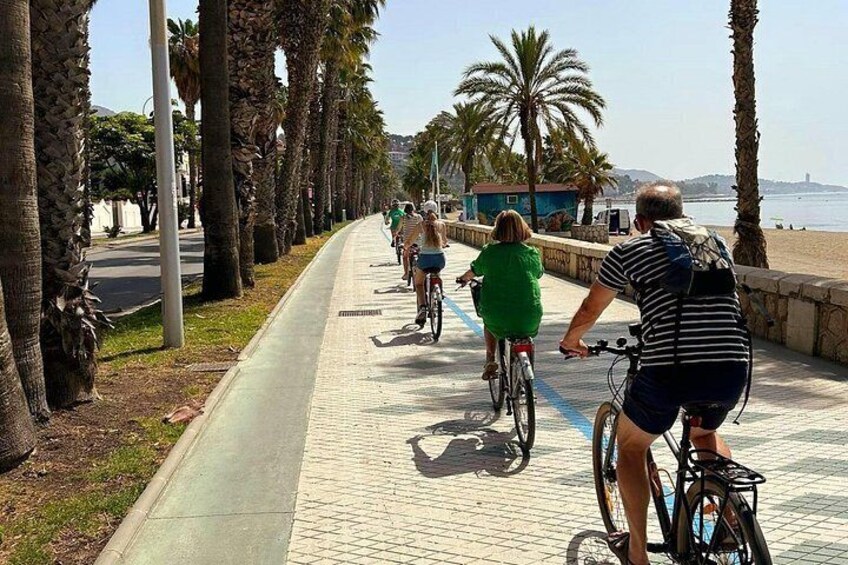 A paved bike path alongside a beach with palm trees and a clear sky. 2