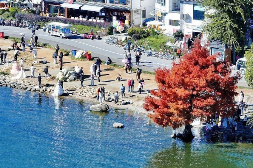 A riverside area with people, a red tree, and buildings in the background. 5
