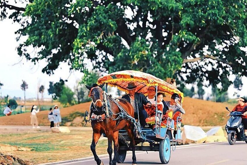 Une charrette tirée par un cheval, transportant des passagers sur une route, entourée d’arbres et de champs ouverts. 4