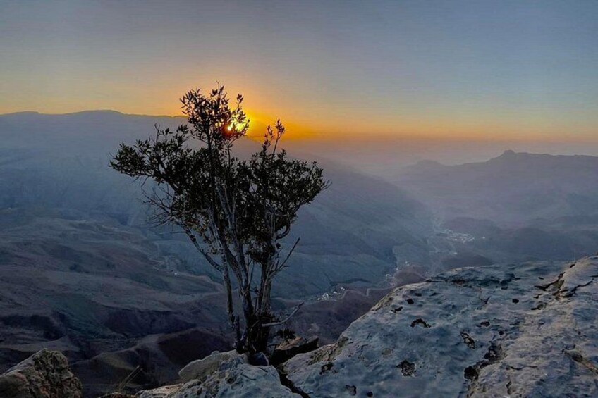 A tree on a rocky outcrop with a sunset in the background. 4