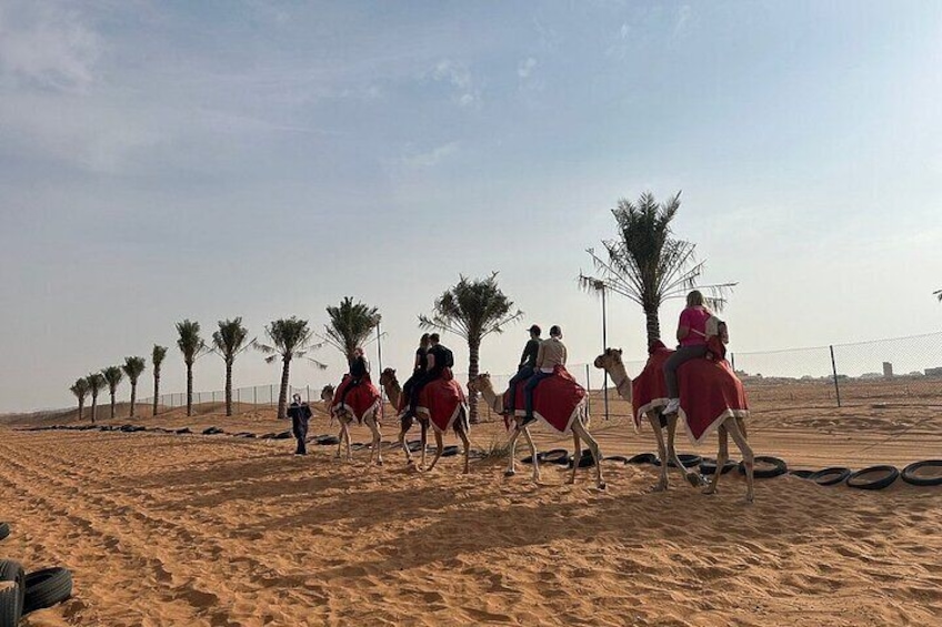 Un gruppo di persone cavalca dromedari in un deserto con palme. 3