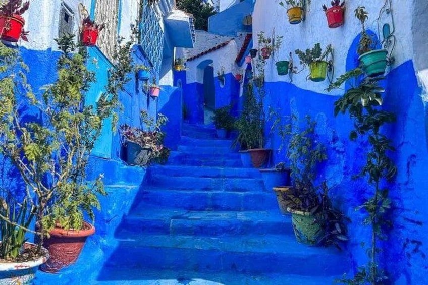From Fez Day Trip to Chefchaouen 2