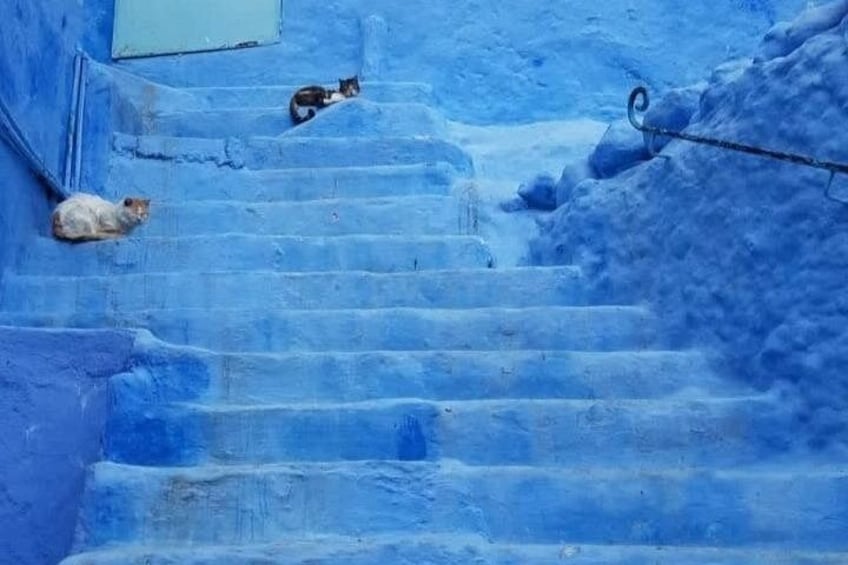 From Fez Day Trip to Chefchaouen 1