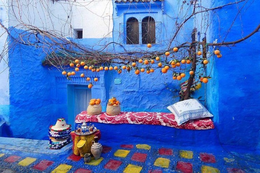 From Fez Day Trip to Chefchaouen 4