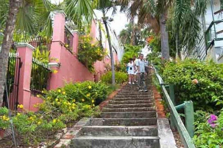 Island Tours Your Way, Your Time! 2, 4 or 6hrs - St. Thomas USVI 2