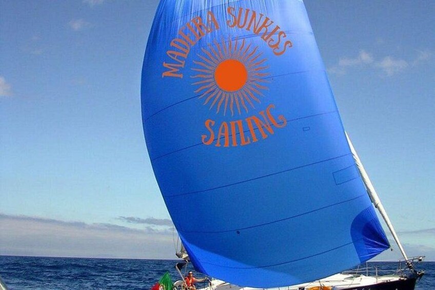 Riping along under the spinnaker 2