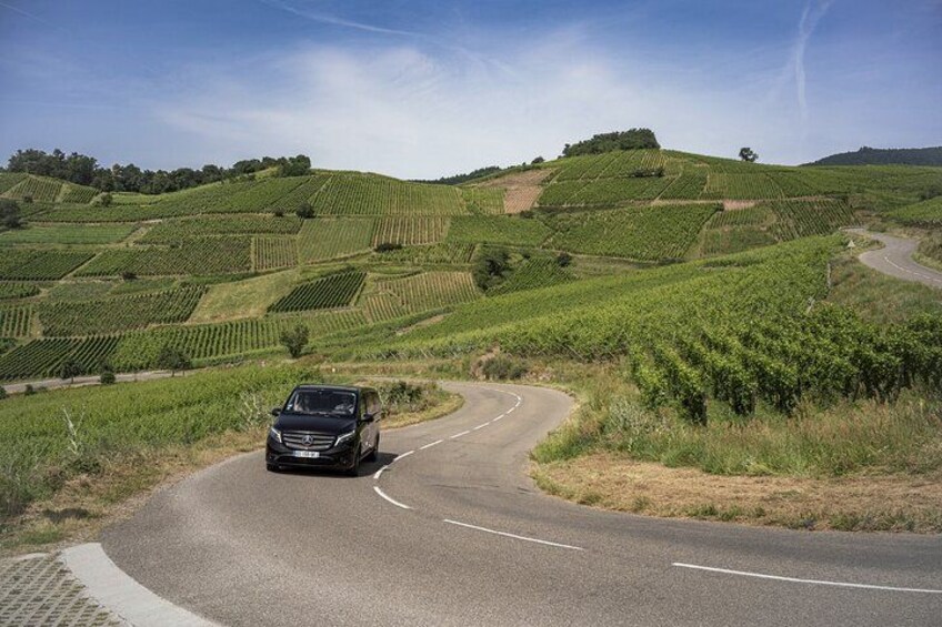 A black car driving on a winding road through a vineyard. 3