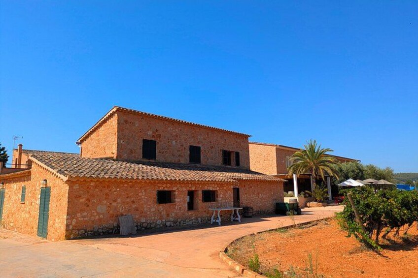 Private Wine and Local Flavors Tour from Palma de Mallorca 4