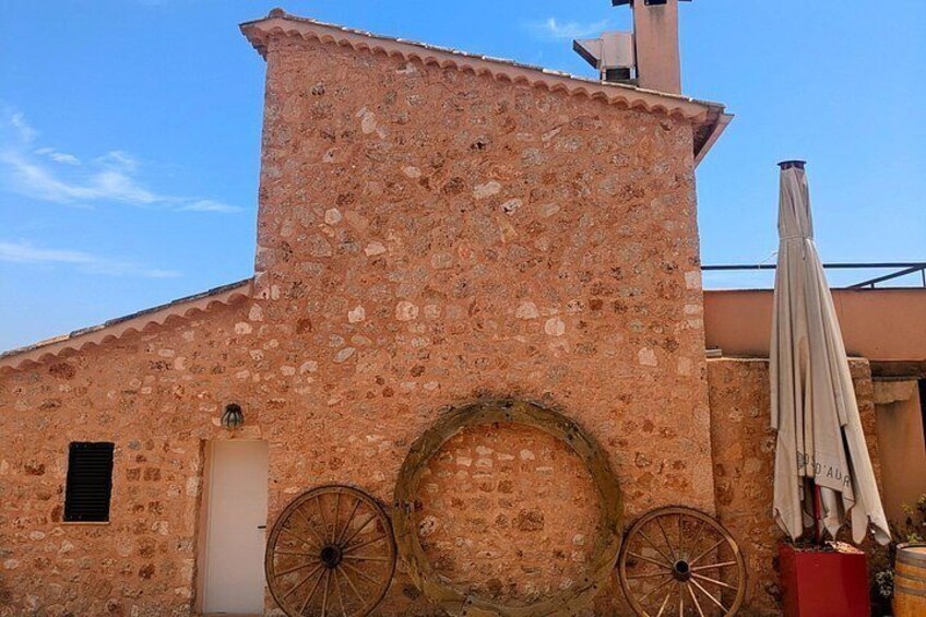 Private Wine and Local Flavors Tour from Palma de Mallorca 5