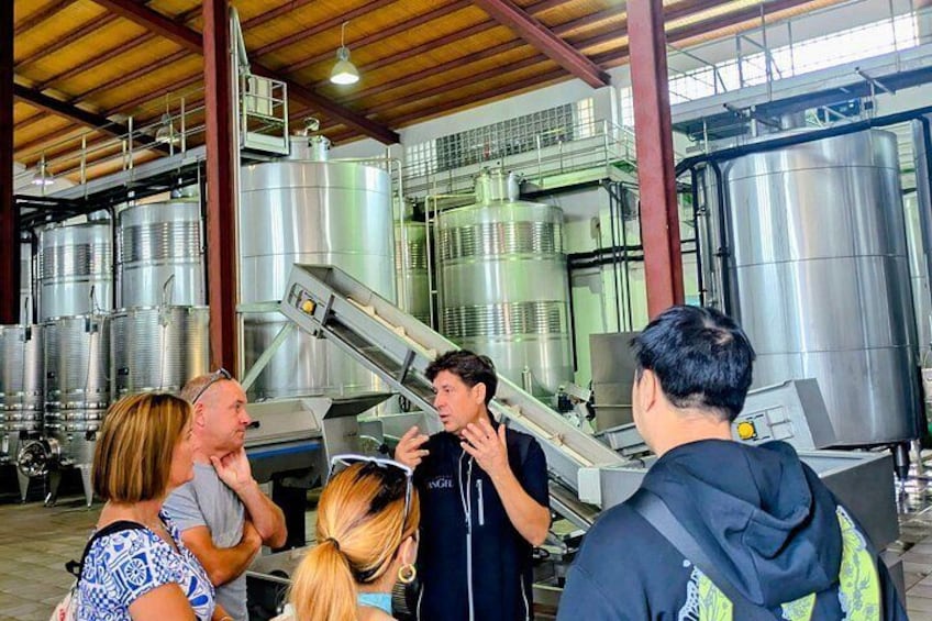 Private Wine and Local Flavors Tour from Palma de Mallorca 3