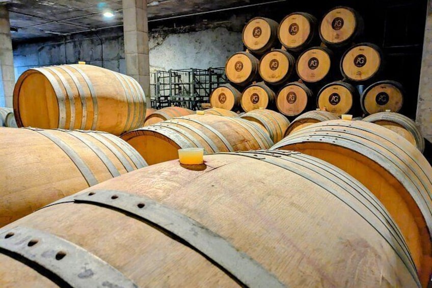 Private Wine and Local Flavors Tour from Palma de Mallorca 4