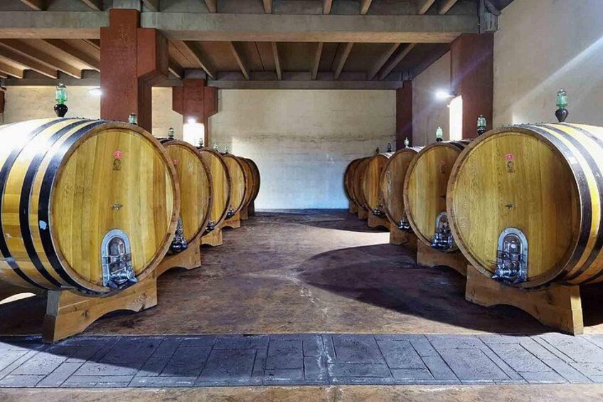 A row of wooden wine barrels in a cellar. 2