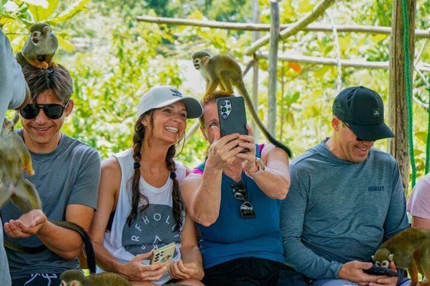 Horseback Riding & Monkeyland Combo Tour from Puerto Plata 5