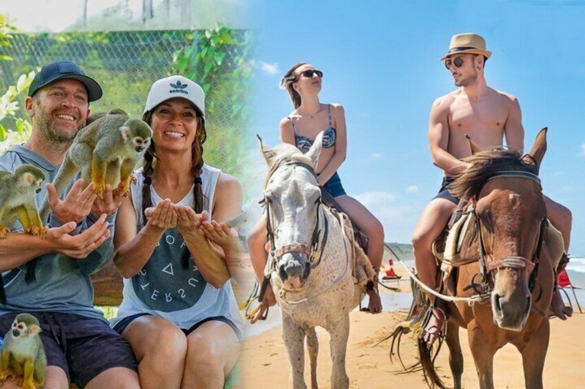 Horseback Riding & Monkeyland Combo Tour from Puerto Plata 1