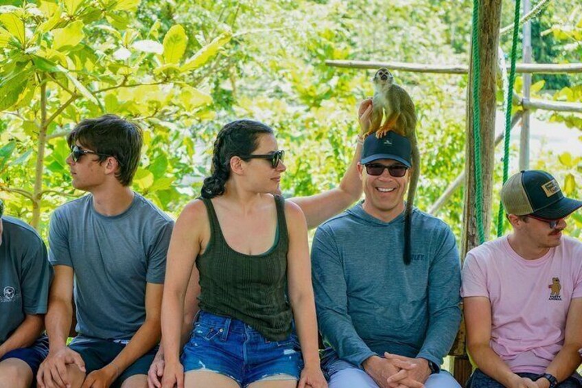 Horseback Riding & Monkeyland Combo Tour from Puerto Plata 3