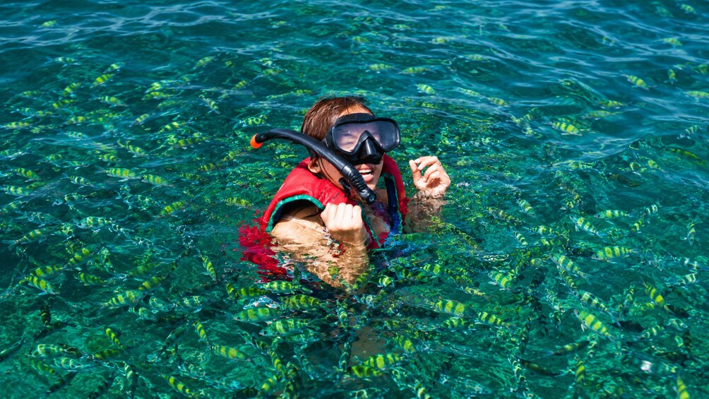 Embark on a Longtail Boat Journey: Krabi’s 7 Island Wonders 3