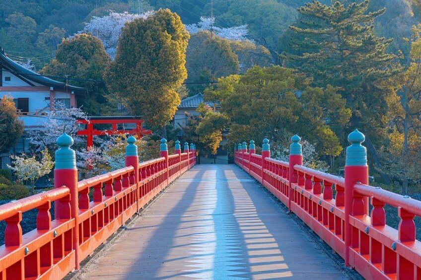 A red bridge with a traditional Japanese gate, surrounded by cherry blossoms and trees. 2
