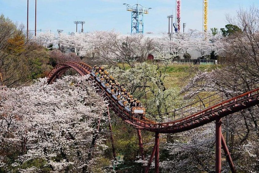 Test your bravery on board the parks various thrilling roller coaster rides, including the biggest one, Bandi 3